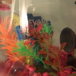 Meet your Posher, Eva